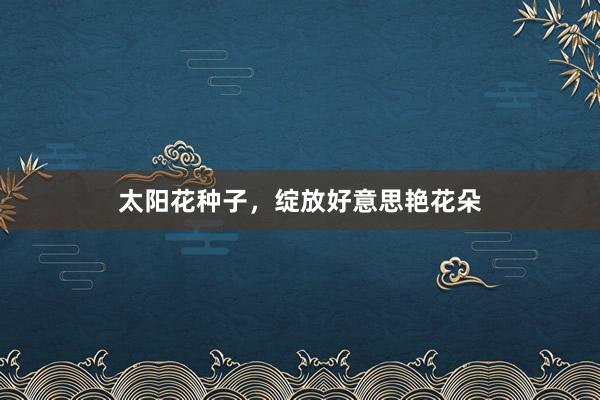 太阳花种子，绽放好意思艳花朵